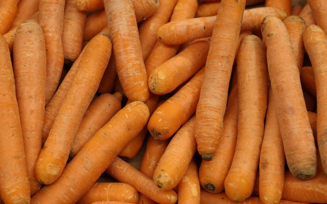 Est il dangereux de manger trop de carottes