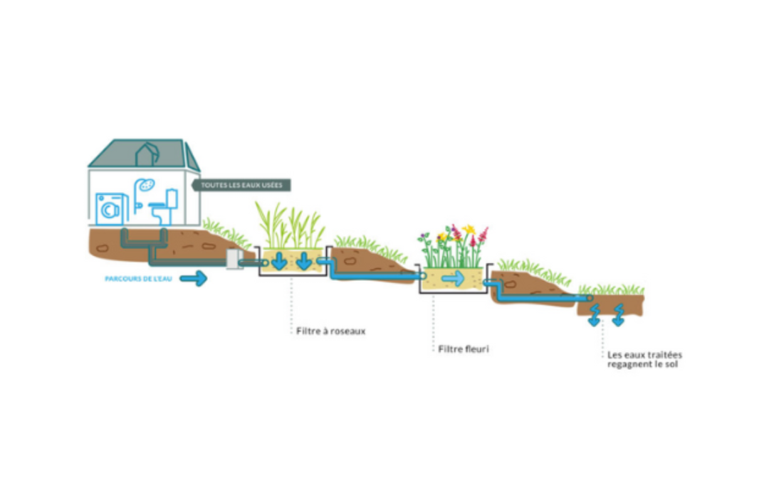 Système de phytoépuration : les avantages d’une épuration écologique !